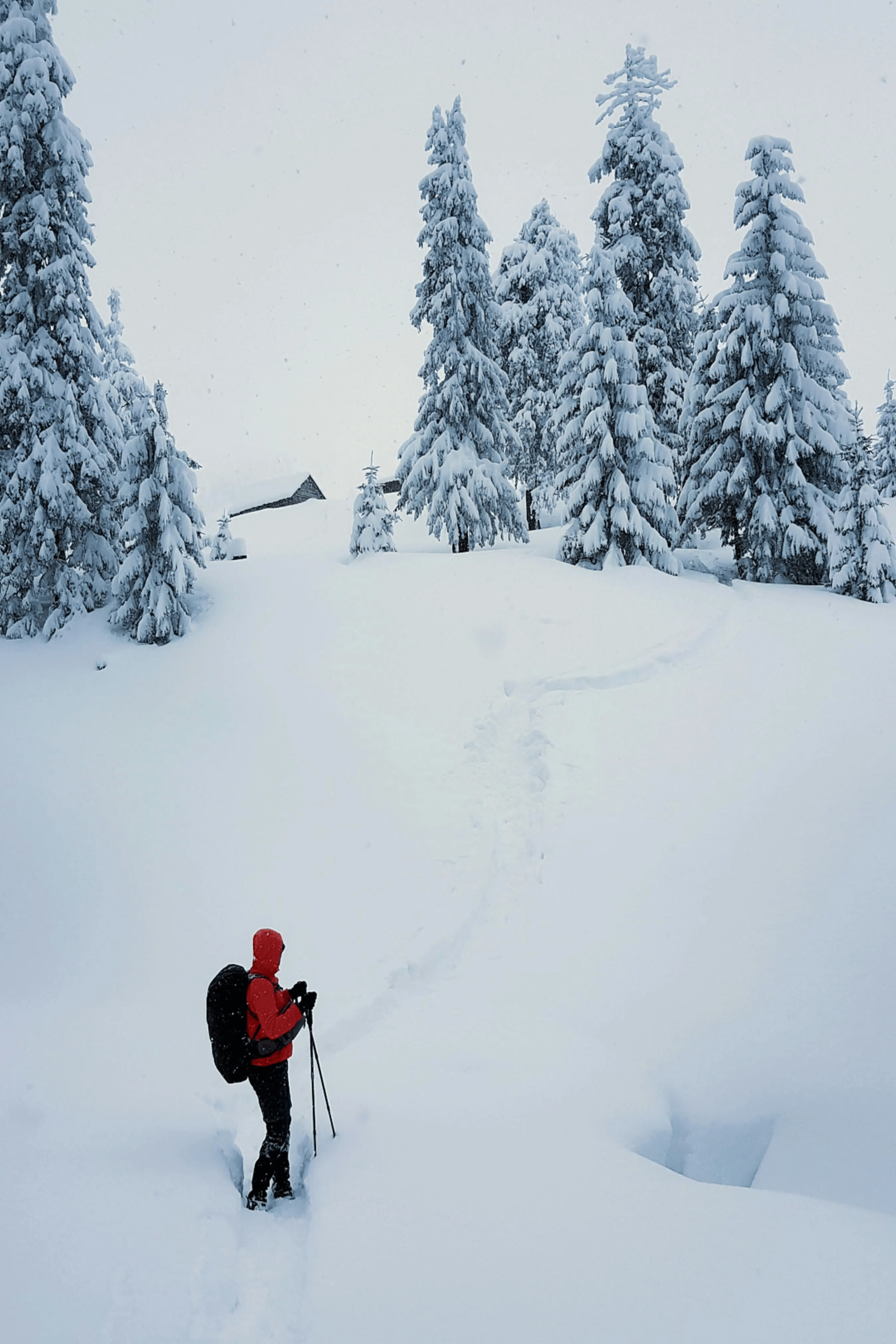Courchevel-sophie